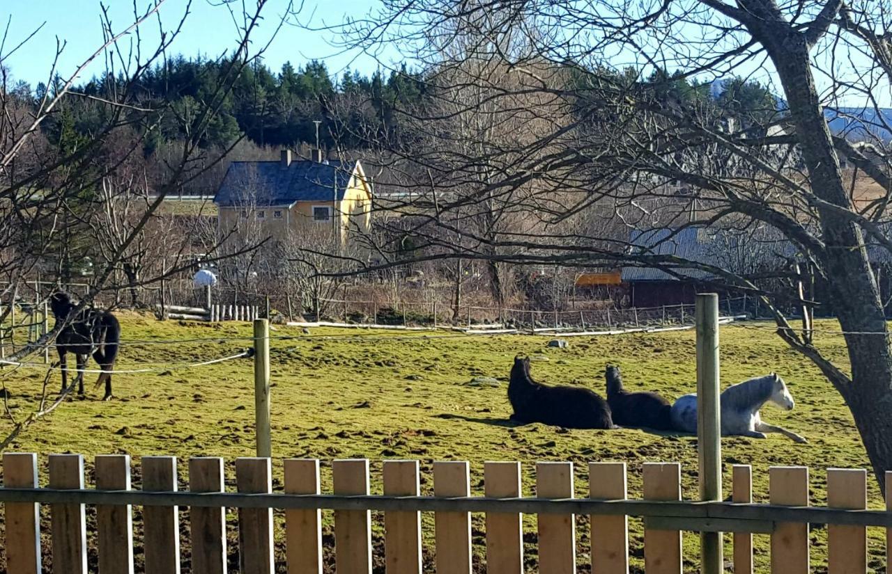Kjorsvik Ovre Apartment Tornes Bagian luar foto