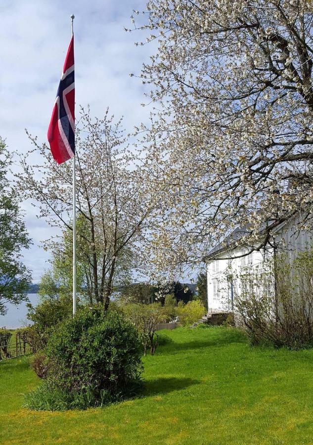 Kjorsvik Ovre Apartment Tornes Bagian luar foto