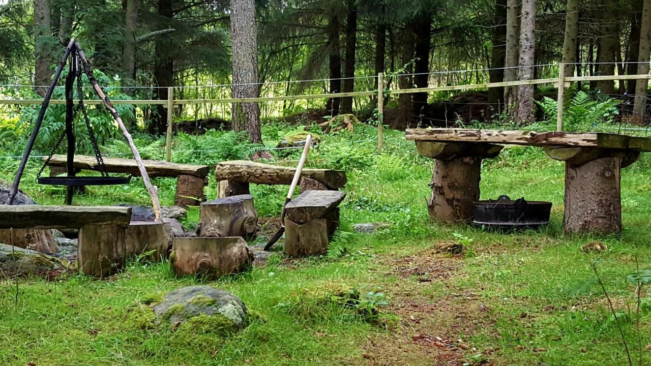 Kjorsvik Ovre Apartment Tornes Bagian luar foto