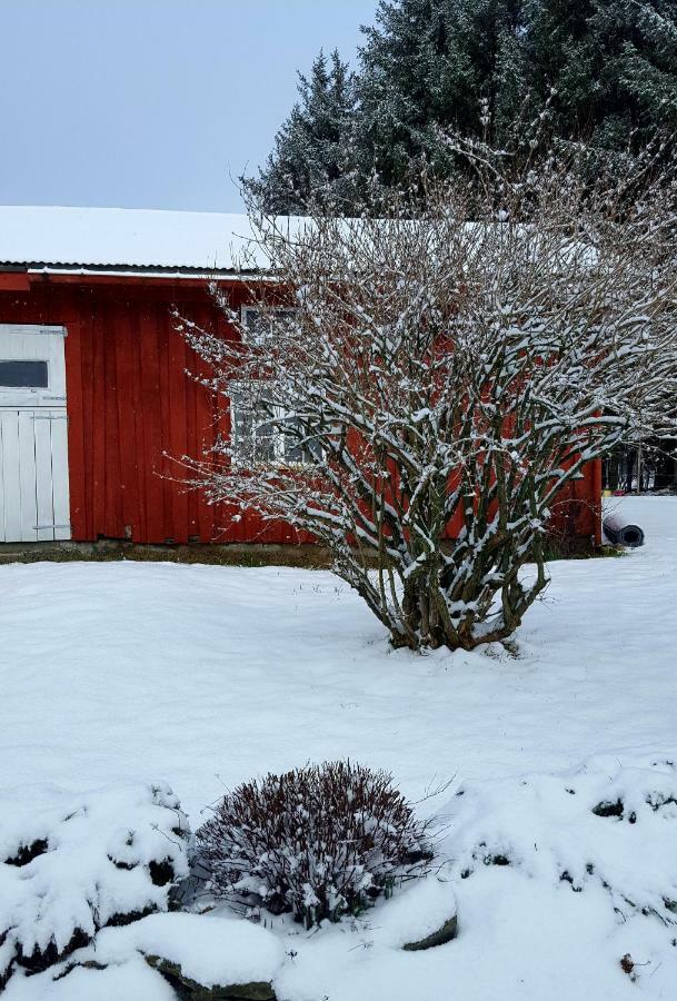 Kjorsvik Ovre Apartment Tornes Bagian luar foto