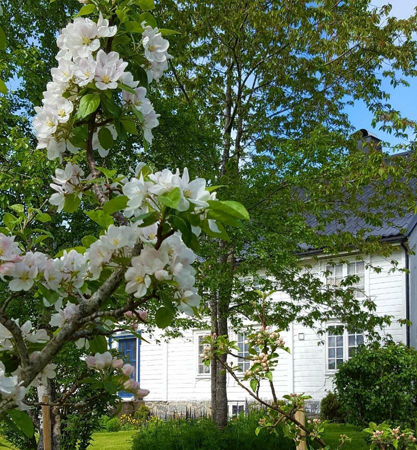 Kjorsvik Ovre Apartment Tornes Bagian luar foto